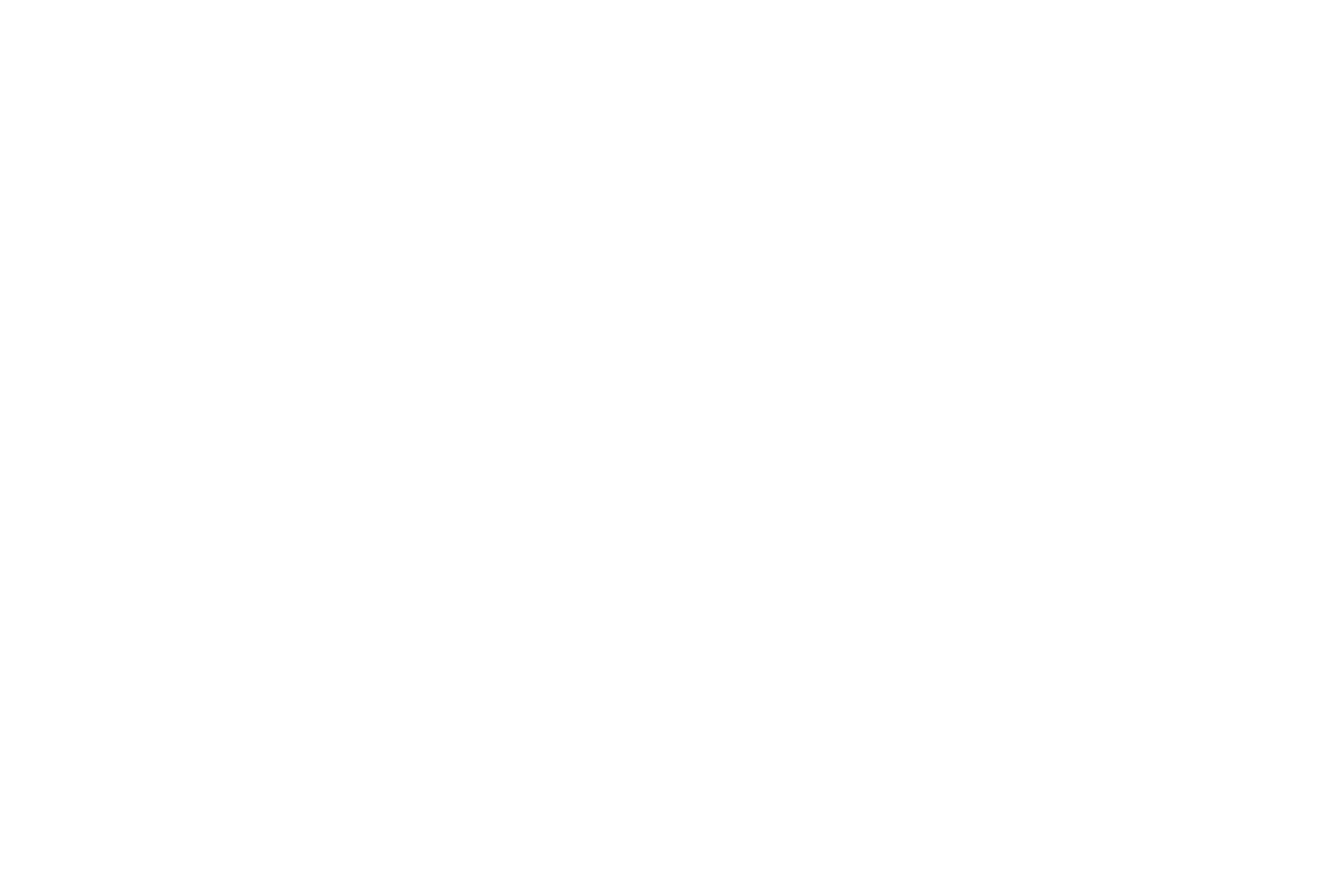 Concept+Partners